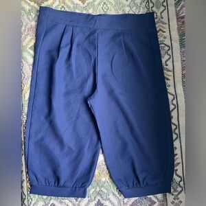 🦋Hand-Made Blue Knickerbockers🦋